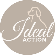 Ideal Action